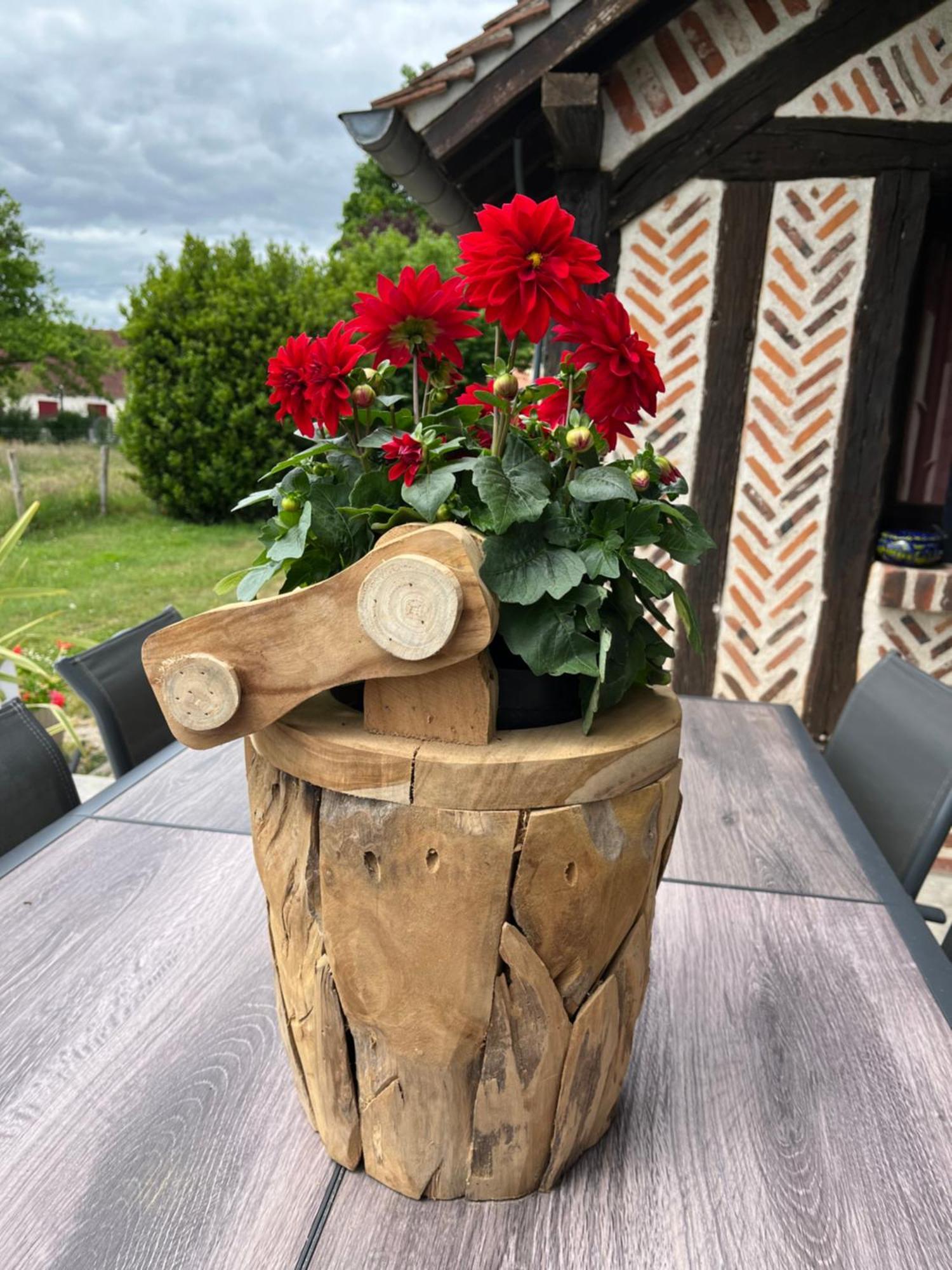 Oh ! Fleurs Des Champs Bed & Breakfast Chaumont-sur-Tharonne Exterior foto